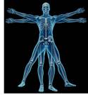 Radiography (X-RAY) System 