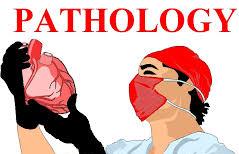 चौविसै घण्टा PATHOLOGY सेवा 